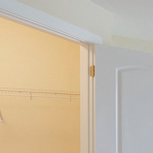 Bedroom with large closet